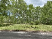 Giants-yasũwX̓eʐ^3