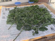 ̏ah VՂ [J̓h}ق̓eʐ^3