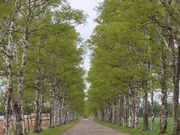 yosshỷƒ{ǃZ^[\qW]̓eʐ^3