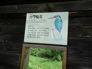 ܂ׂ݂̂̊wKЂ΂̓eʐ^3