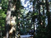 YanwenlȋRc_Ђ̓eʐ^3