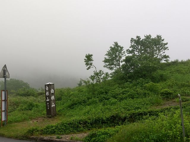 R܁EEE낻남{܂ĂBBB_R