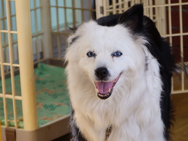 yosshỹWFeA cLTbv_̓eʐ^3