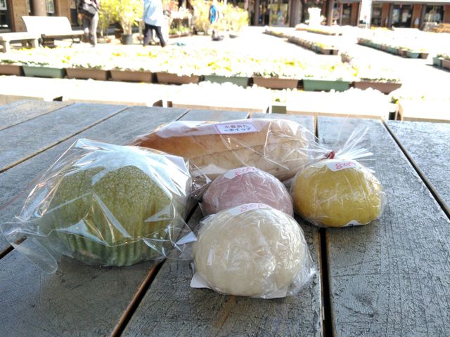 �g���܂񂶂イ�A�c�ɂ܂񂶂イ�A�������p���ȂǁB�����Ĕ��������I_���̉w ���̍������΂�