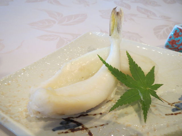 ���H�@��銱���̃t�O_�[�i�̏h�@�C�̂�肩���@������