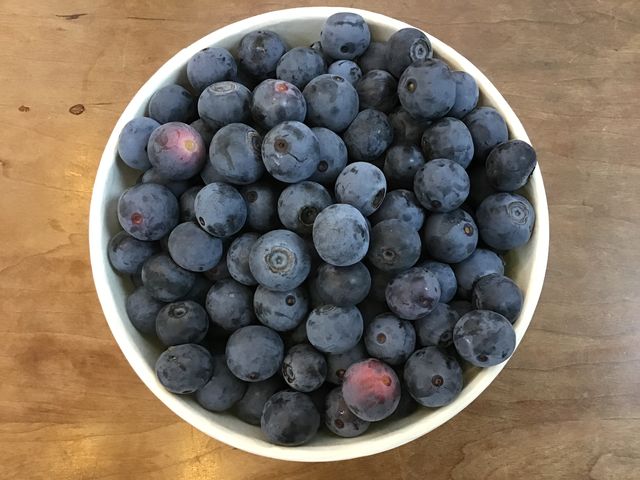 �Î_���ς��Ĕ��������嗱�̃u���[�x���[�I���_��ň��S�ł��I_���ʂ���ӂ��[��