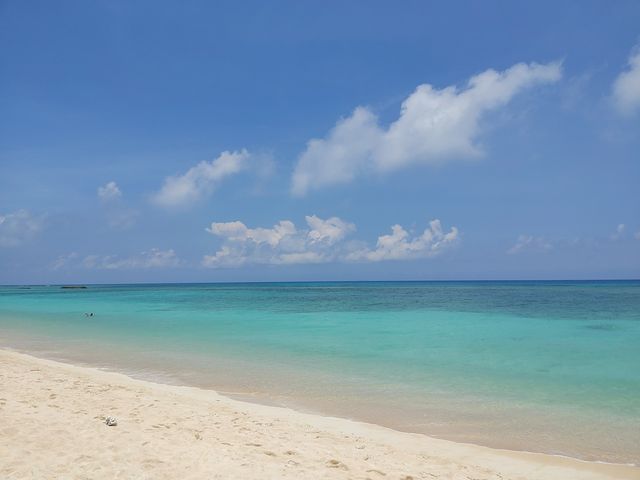 �g�Ɗԃu���[�̃j�V�l_���h�ό�