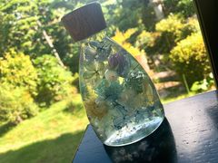 񂳂̋sTh[Yւ̓eʐ^1