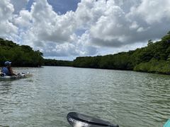 񂳂OHCUSΊ_ւ̓eʐ^1