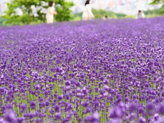 yosshy̖yW]ԏւ̓eʐ^3