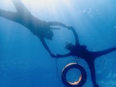 񂳂̃}Nu Gigiւ̓eʐ^1