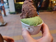 yosshyGELATERIA ITALIANA La Giostra̓eʐ^4