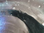 ݂̗LЁ@_ā@X̓eʐ^2