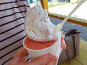 yosshỹWFeA cLTbv_̓eʐ^5