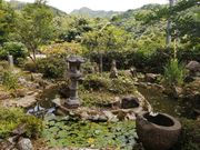 ��������̋��T���̓��e�ʐ^2