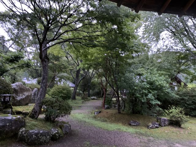 ����̕��i_�������݉���