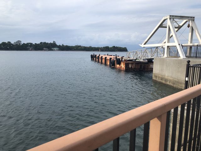 �o�i�i�{�[�g����_�璹�ۊC�̉�