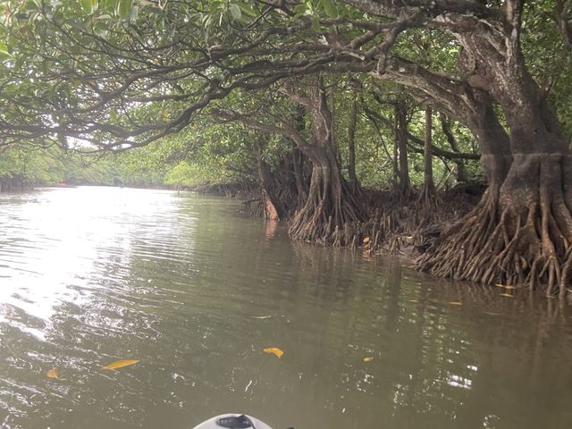 絶対にお勧め!!_OHCUS石垣島