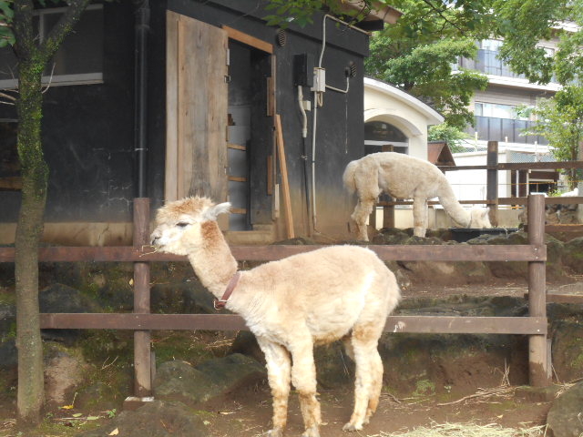 �O���s�������@�y����