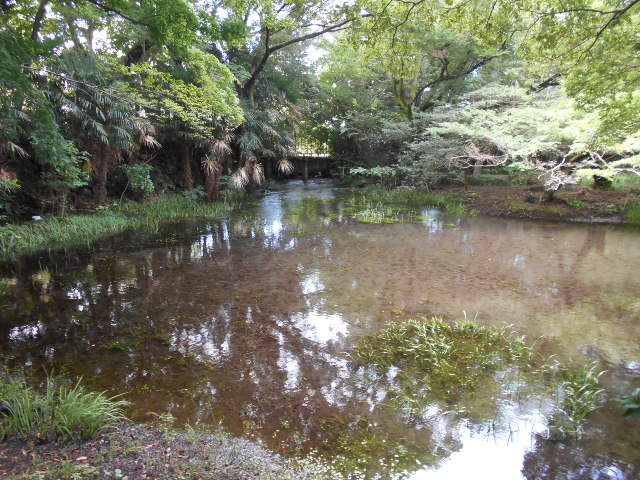 �����q��㗬�y�����̓��