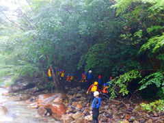 ȂȂ񂳂̓SɊ^ւ̓eʐ^1