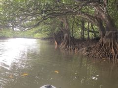 sayaOHCUSΊ_ւ̓eʐ^1