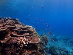 D̃}T[rX@pb\ւ̓eʐ^1