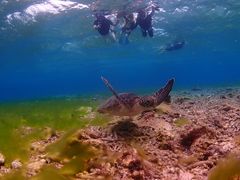 ق̃}T[rX@pb\ւ̓eʐ^1