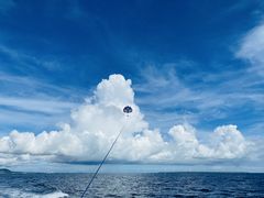 ق̐Ί_u[V[T[ւ̓eʐ^1