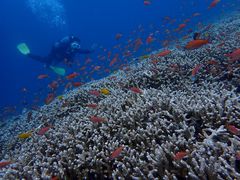 }T̃CgΊ__CrOVbvւ̓eʐ^3