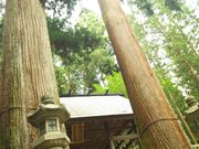 ݂ǂ肳̌bߐ_Ђ̓eʐ^4