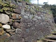 yula����̃I�����_���̓��e�ʐ^1