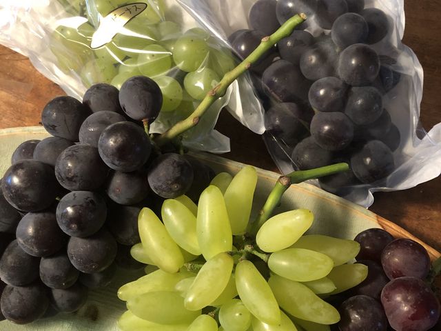 1�l���͂��������������̂ŁA�摜��2�l���ł�_����Ԃǂ���