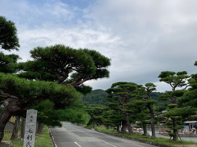 �ї����뉀_�ї������٥�ї����뉀