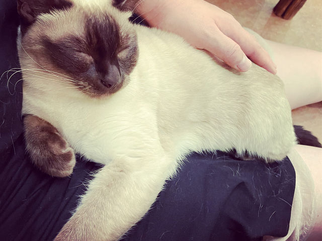 �}�[�`����񂪕G�ɗ��Ă���܂����I_�L�J�t�F�w�Ă܂�̂������x