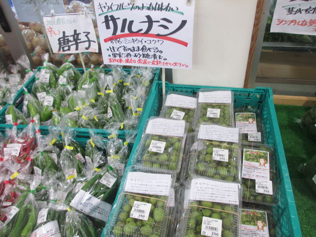 ���̏H�̏{�ȎR���E�T���i�V�͋M�d�ȉʕ��ł��B_���Ă��Ȏ��R�_�� �����X