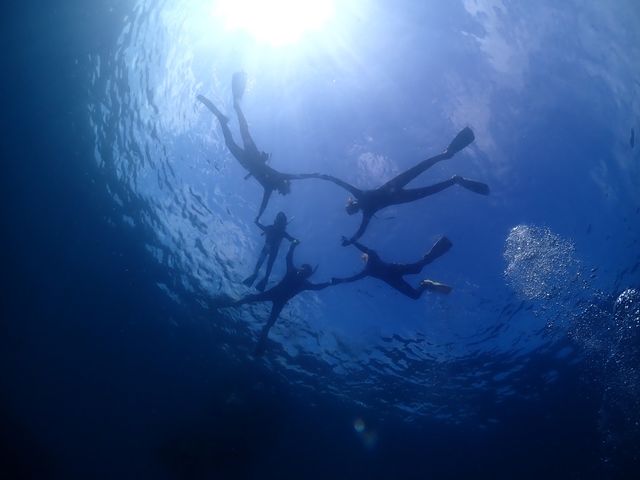 �Ƒ�4�l�ƃC���g���̂��o�����_���[�t�@���C�_�[�Y