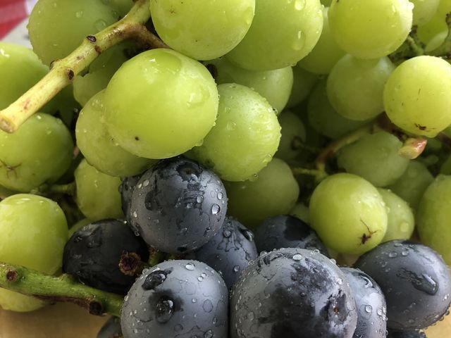 VC}XJbgƃsI[l_O[vK[fS_