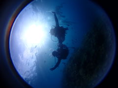 ΂̃_CrOT[rXEՂ܂ǂւ̓eʐ^1