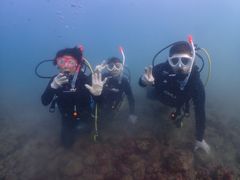 ₳ARK Diving Shop {Xւ̓eʐ^1