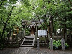 Yanwenlȋ_Ђւ̓eʐ^1