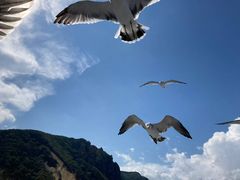 shibashibȁM̓AN[Yւ̓eʐ^1