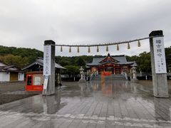 ܂񂳂̒MOR_Ђւ̓eʐ^1