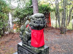 ܂񂳂̒MOR_Ђւ̓eʐ^8