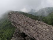 Yanwenlîɂイ̓eʐ^1