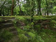 Yanwenli̊_Ђ̓eʐ^2