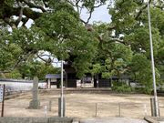 �E�b�L�[����̎��h�������̓��e�ʐ^1