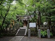 Yanwenlȋ_Ђ̓eʐ^1