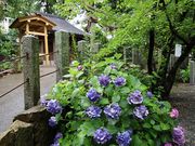 Yanwenlȋ_Ђ̓eʐ^3