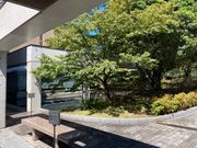 �E�b�L�[����̎���s���p�����ق̓��e�ʐ^1